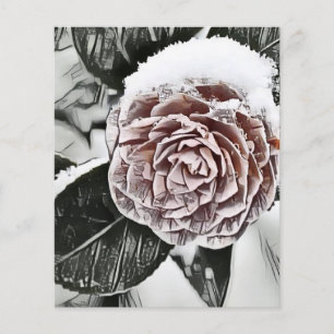 Folha de papel de desenho de Rosa com neve congela