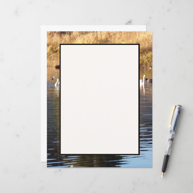 Folha de papelaria de patos (Frente/Verso In Situ)