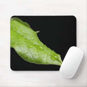 Folha Verde e Raindrops Mousepad