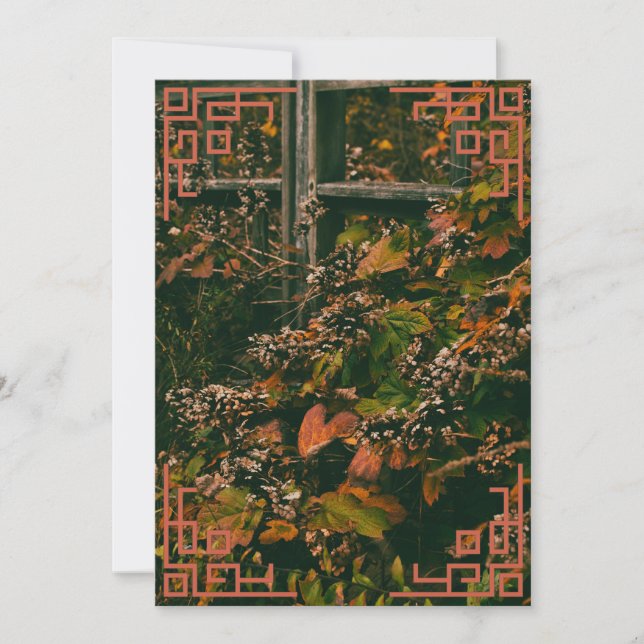 Folhagem de queda de cartões de agradecimentos (Frente)