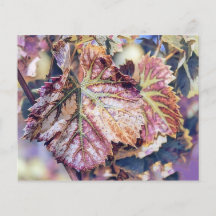 Folhas Coloridas de outono com cor aquosa