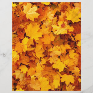 Folhas de Bordo Amarelo Outono