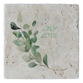 Folhas de Eucalipto Verde