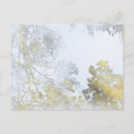 Folhas de folhas refletidas no cartão postal Água