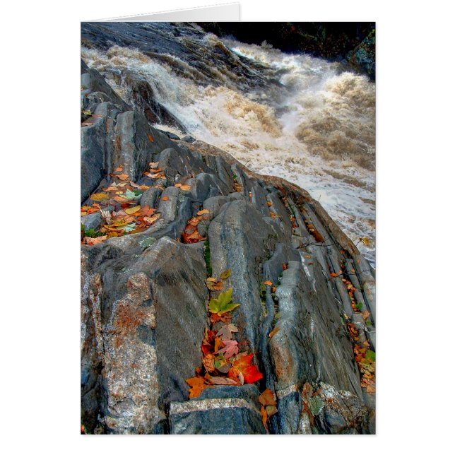 Folhas de Livermore: Cartão (Frente)