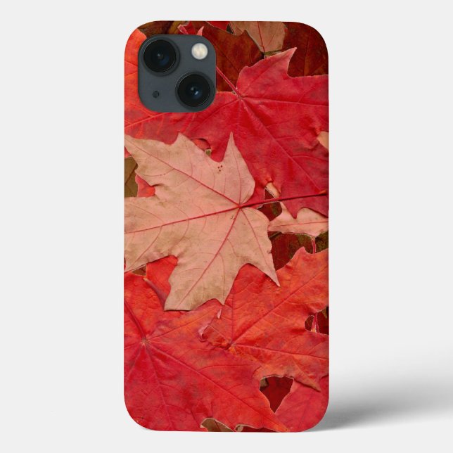 Folhas de Mapeamento Vermelho (Verso)