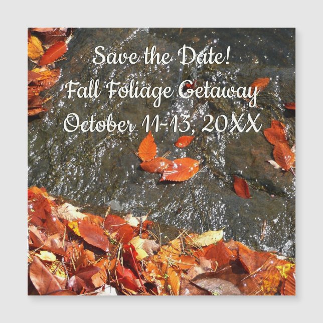 Folhas de outono em Cágua Fotografia de outono I (Frente)