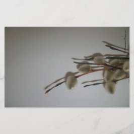 Folhas de papelaria (PussyWillows) Sinais de SDCs