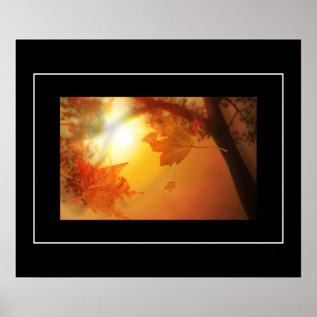 Folhas de poster (Frente)