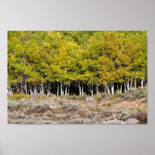 Folhas de queda em uma Canvas ou Poster