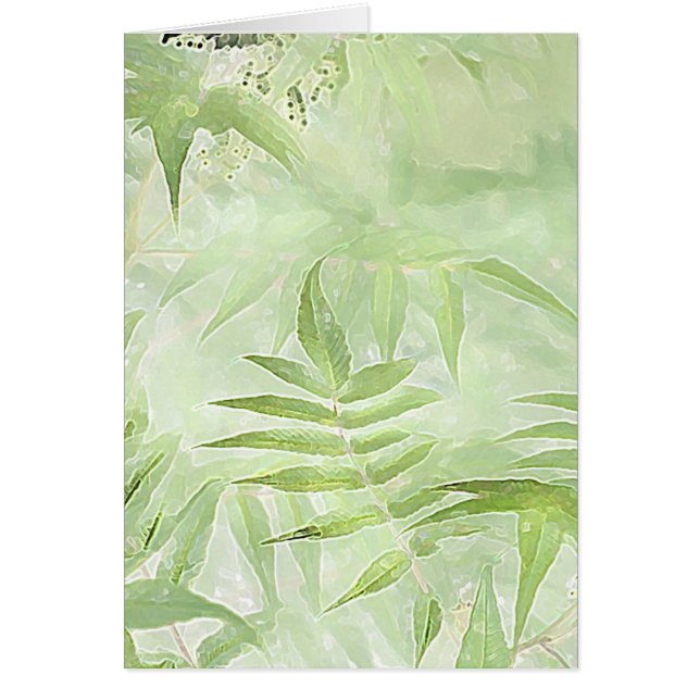 Folhas de Spirea - Cartão de Arte Digital (Frente)