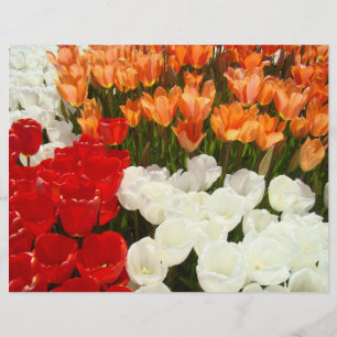 Folhas de Tulip Primavera de papel de carteira Scr
