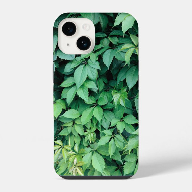 Folhas de Uva Verde (Verso)