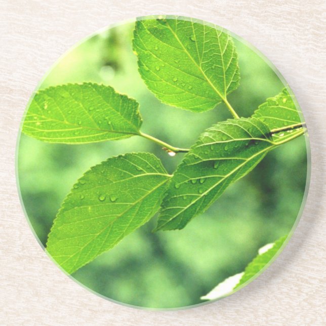 Folhas de Verão com Porta copos de Raindrops (Frente)
