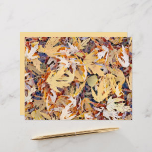 Folhas pintadas amarelas do outono