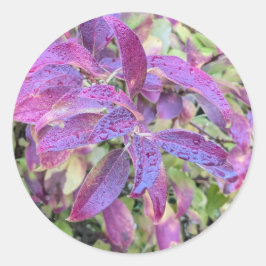 Folhas roxas em autocolantes