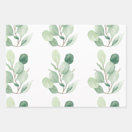 Folhas verdes de Eucalyptus pastel