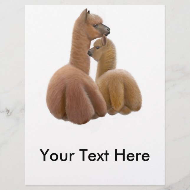 Folheto de Amigos Alpaca (Frente)