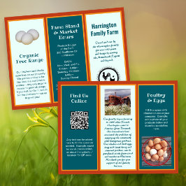 Folheto de Fazenda dobrada