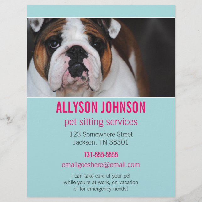 Folheto de Foto Azul e Rosa Pet Sitting Services 1 (Frente)