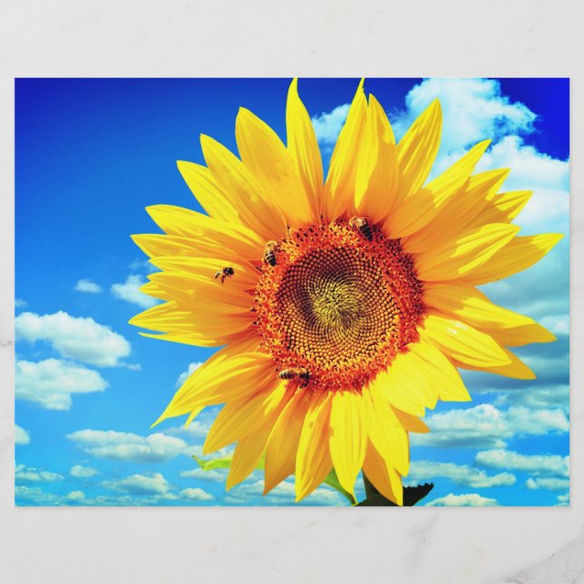 Folheto de Girassol Amarelo (Frente)