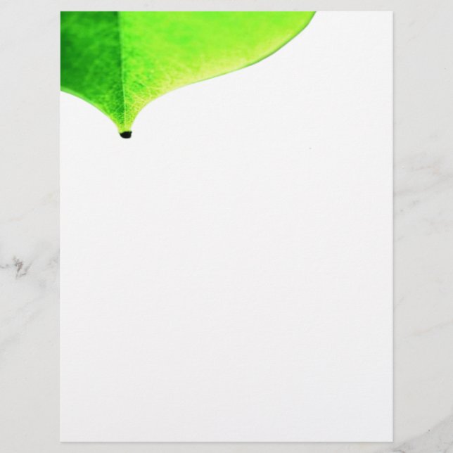 Folheto de Licença Verde (Frente)