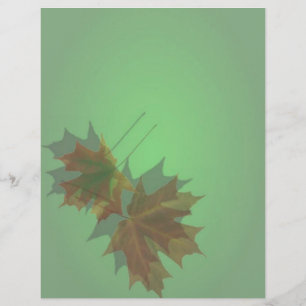 Folheto de Saída de Mapeamento