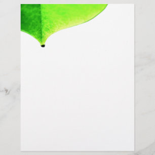 Folheto de saída verde