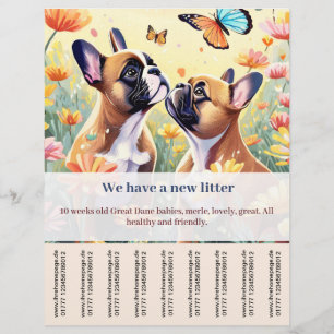 folheto de venda de cachorro Frenchie