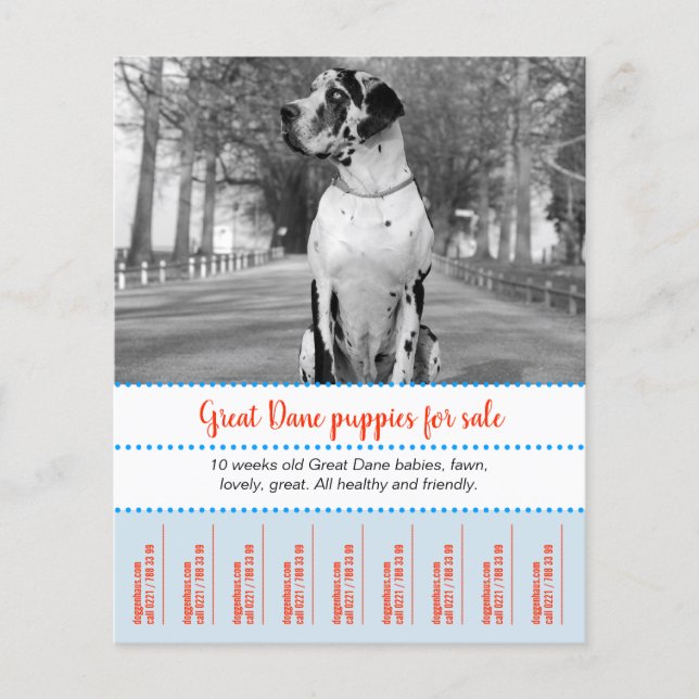 Folheto de Vendedores (Frente)