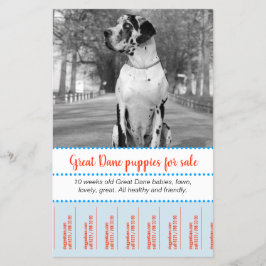 Folheto de Vendedores