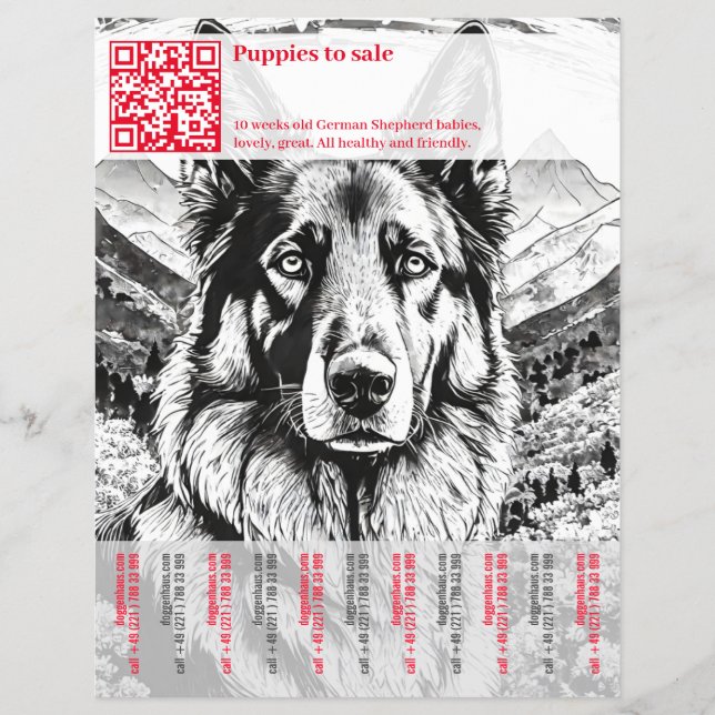 Folheto do german shepherd (Frente)