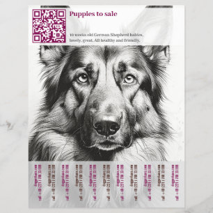 Folheto do german shepherd