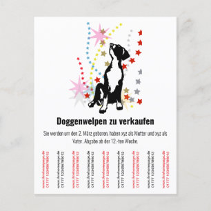 Folheto dos Cães