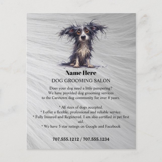 Folheto personalizado para a manutenção de cães (Frente)
