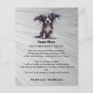 Folheto personalizado para a manutenção de cães