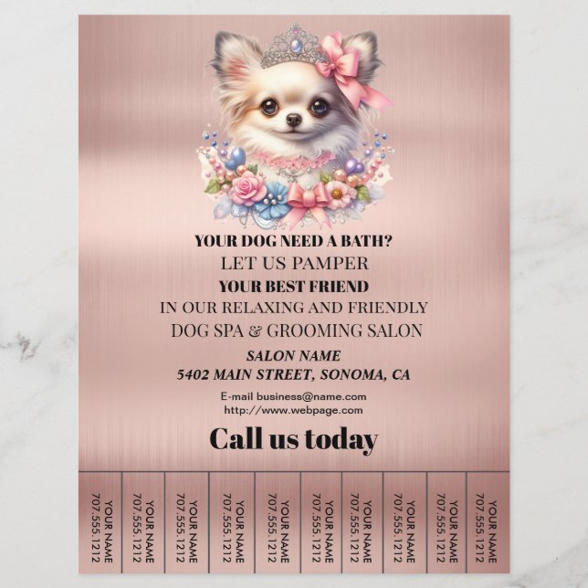 Folheto personalizado para a manutenção de cães (Frente)