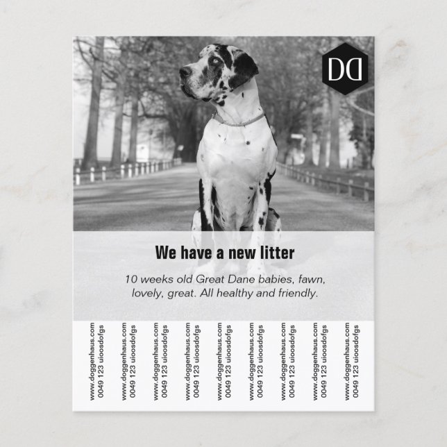 Folheto "Vendedor" (Frente)