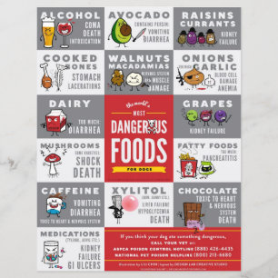 Folhetos - A Comida mais perigosa do mundo para cã