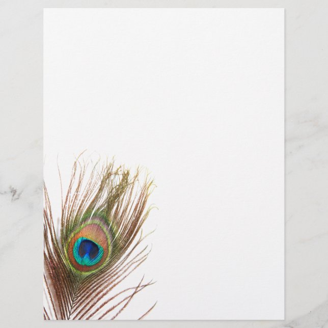Folhetos de penas de peacock (Frente)