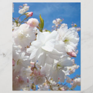 Folhetos de primavera Folhas de papel Azul Céu