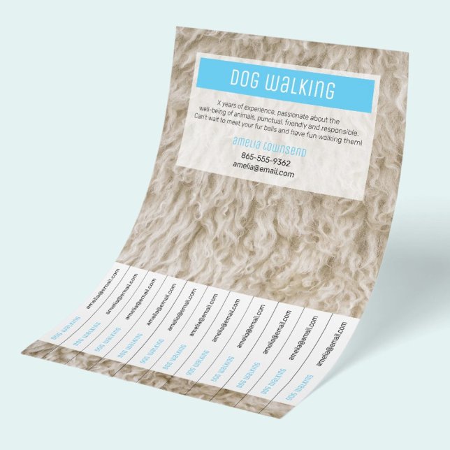Folhetos Modernos de Cuidados com Animais de Estim (Dog Walking Flyers for side hustle business, modern minimalist branding design with photograph.)
