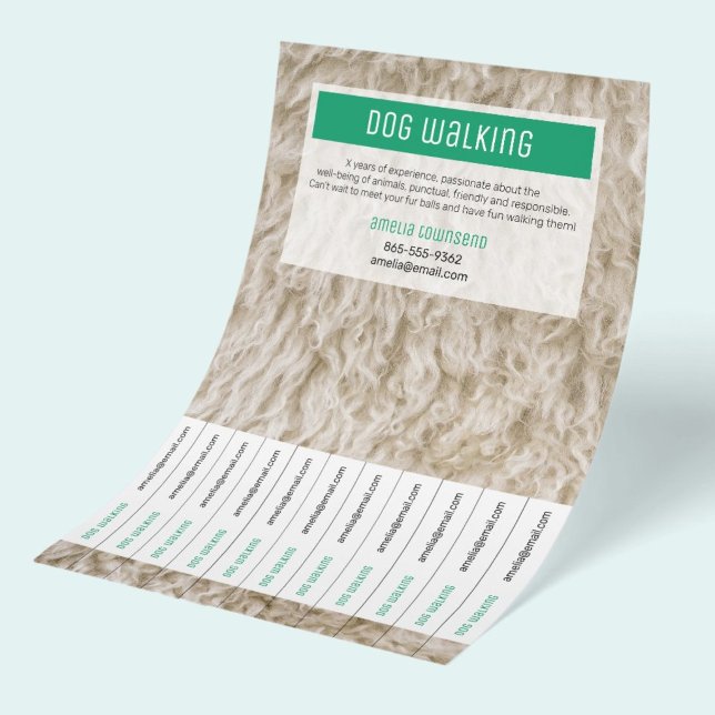 Folhetos Modernos de Passeio de Cães Profissionais (Professional Dog Walking Promotional Flyer with tearbale tabs, with dor fur photo and green color.)