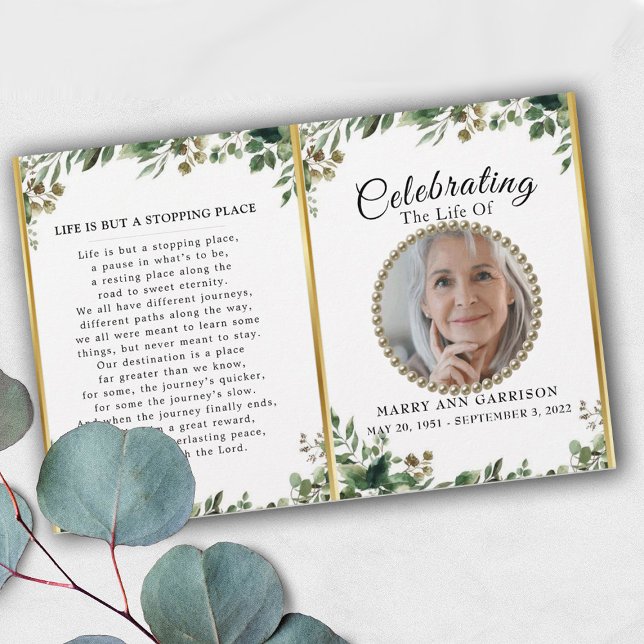 Foliage Greenery Foto Celebração do Programa Life (Criador carregado)