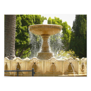 Fonte de Sausalito Fotografia de Viagens na Califó