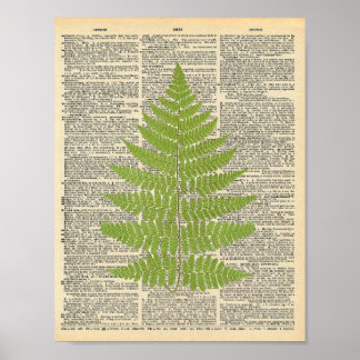 Forest Fern vintage dicionário poster