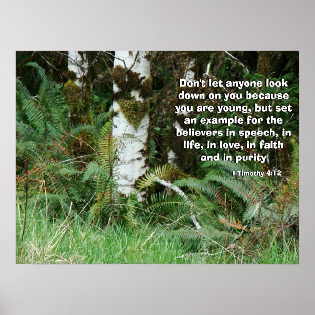 Forest Ferns é chamado por Deus Impressão (Frente)