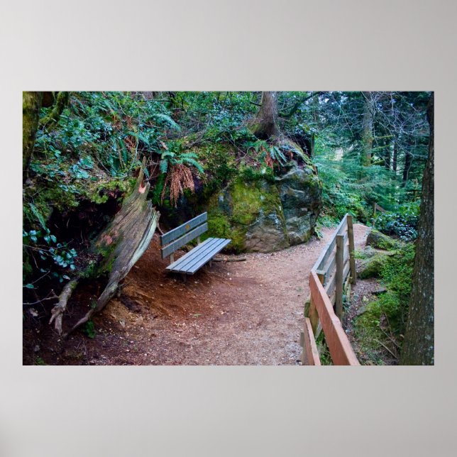 Forest Path Bench Impressão (Frente)
