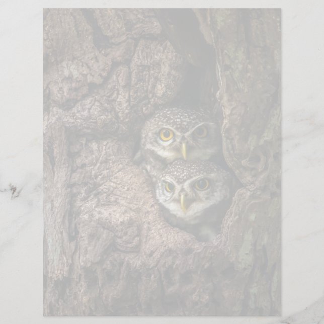 Forests | Two Owls Looking (Frente)