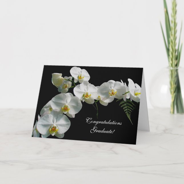 Formando de Parabéns de Orquídea Branca! Cartão (Frente)